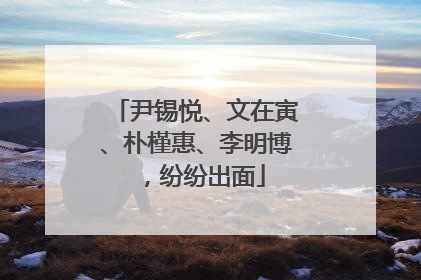 尹锡悦、文在寅、朴槿惠、李明博，纷纷出面
