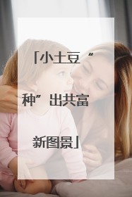小土豆“种”出共富新图景