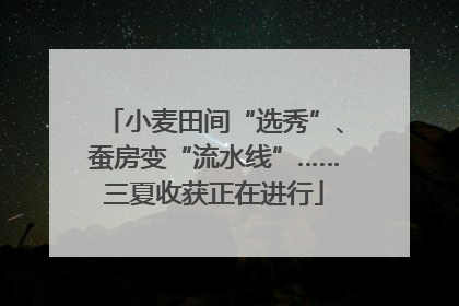 小麦田间“选秀”、蚕房变“流水线”……三夏收获正在进行
