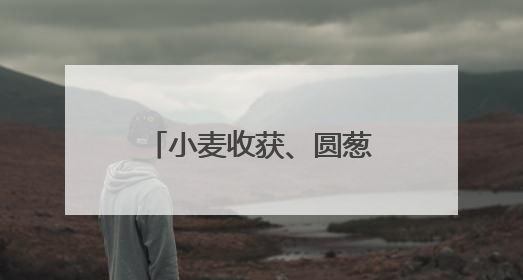 小麦收获、圆葱产销旺、水稻长势好……乡村处处是“丰”景
