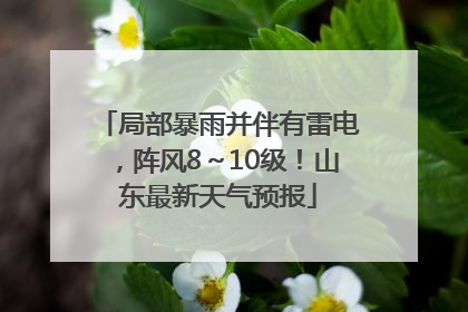 局部暴雨并伴有雷电，阵风8～10级！山东最新天气预报