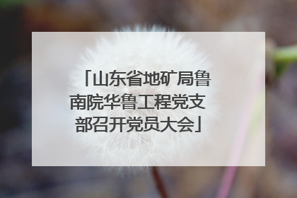 山东省地矿局鲁南院华鲁工程党支部召开党员大会