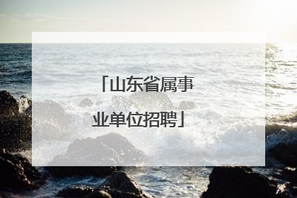 山东省属事业单位招聘
