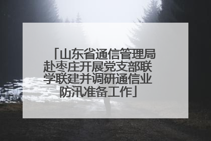 山东省通信管理局赴枣庄开展党支部联学联建并调研通信业防汛准备工作