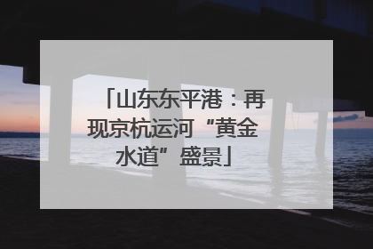 山东东平港：再现京杭运河“黄金水道”盛景