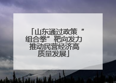 山东通过政策“组合拳”靶向发力 推动民营经济高质量发展