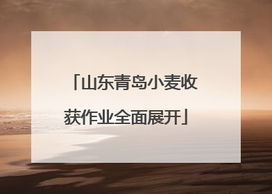 山东青岛小麦收获作业全面展开