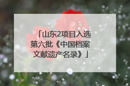 山东2项目入选第六批《中国档案文献遗产名录》