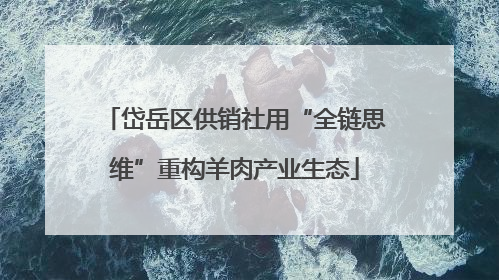 岱岳区供销社用“全链思维”重构羊肉产业生态