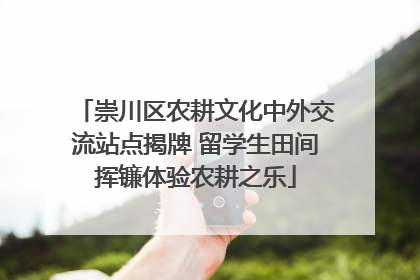 崇川区农耕文化中外交流站点揭牌 留学生田间挥镰体验农耕之乐