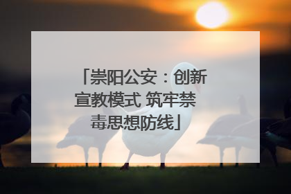 崇阳公安：创新宣教模式 筑牢禁毒思想防线