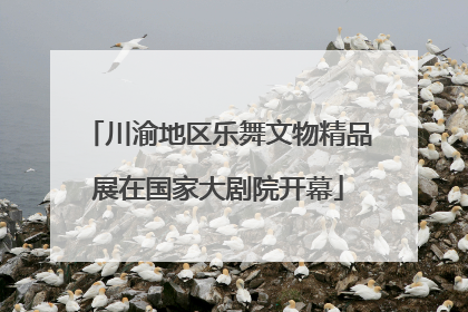 川渝地区乐舞文物精品展在国家大剧院开幕
