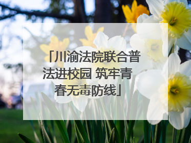 川渝法院联合普法进校园 筑牢青春无毒防线