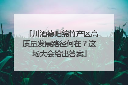 川酒德阳绵竹产区高质量发展路径何在？这场大会给出答案