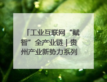 工业互联网“赋智”全产业链｜贵州产业新势力系列报道之八