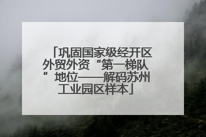 巩固国家级经开区外贸外资“第一梯队”地位——解码苏州工业园区样本