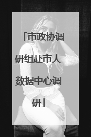 市政协调研组赴市大数据中心调研