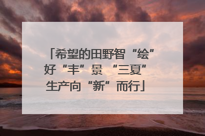 希望的田野智“绘”好“丰”景 “三夏”生产向“新”而行