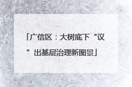 广信区：大树底下“议”出基层治理新图景