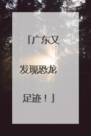 广东又发现恐龙足迹！