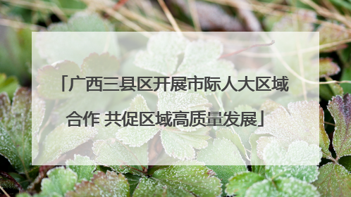 广西三县区开展市际人大区域合作 共促区域高质量发展