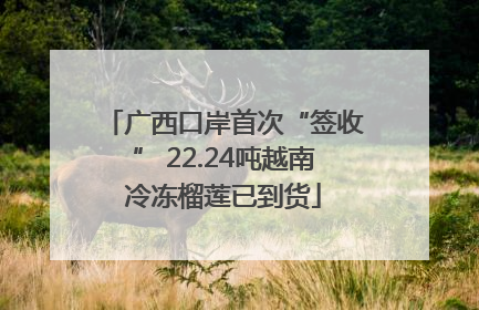 广西口岸首次“签收” 22.24吨越南冷冻榴莲已到货