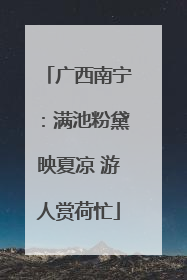 广西南宁：满池粉黛映夏凉 游人赏荷忙