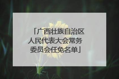 广西壮族自治区人民代表大会常务委员会任免名单