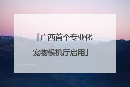 广西首个专业化宠物候机厅启用