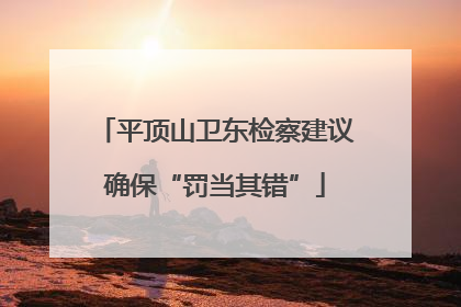 平顶山卫东检察建议确保“罚当其错”