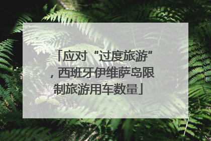 应对“过度旅游”，西班牙伊维萨岛限制旅游用车数量