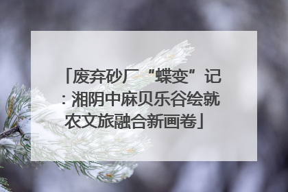 废弃砂厂“蝶变”记：湘阴中麻贝乐谷绘就农文旅融合新画卷