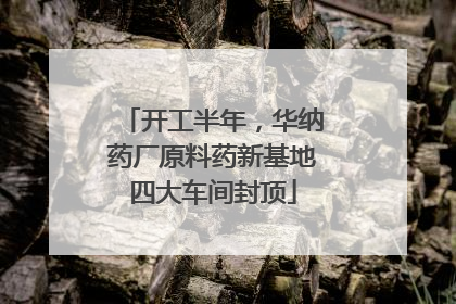 开工半年，华纳药厂原料药新基地四大车间封顶