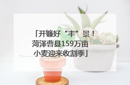 开镰好“丰”景！菏泽曹县159万亩小麦迎来收割季