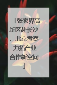 张家界高新区赴长沙、北京考察 力拓产业合作新空间