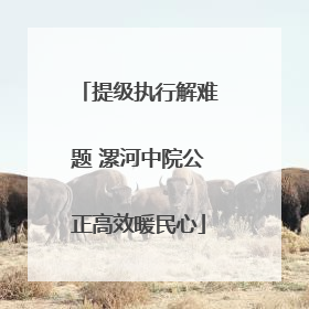 提级执行解难题 漯河中院公正高效暖民心