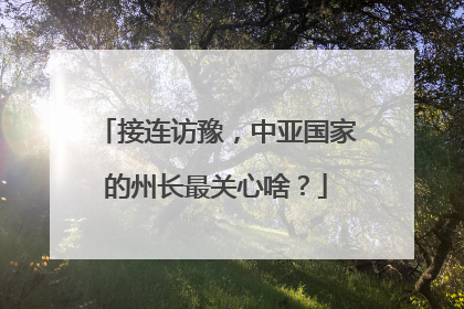 接连访豫，中亚国家的州长最关心啥？