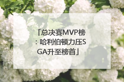 总决赛MVP榜：哈利伯顿力压SGA升至榜首