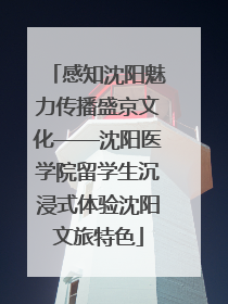 感知沈阳魅力传播盛京文化——沈阳医学院留学生沉浸式体验沈阳文旅特色