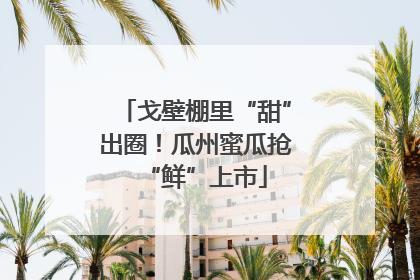 戈壁棚里“甜”出圈！瓜州蜜瓜抢“鲜”上市
