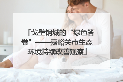 戈壁钢城的“绿色答卷”——嘉峪关市生态环境持续改善观察