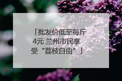 批发价低至每斤4元 兰州市民享受“荔枝自由”