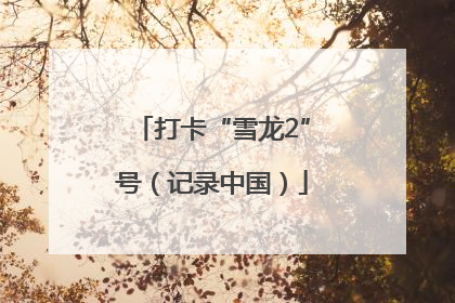 打卡“雪龙2”号（记录中国）