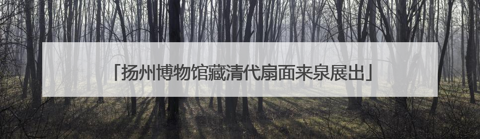 扬州博物馆藏清代扇面来泉展出