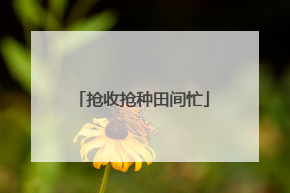 抢收抢种田间忙