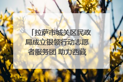 拉萨市城关区民政局成立银领行动志愿者服务团 助力西藏银发经济发展