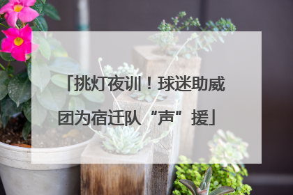 挑灯夜训！球迷助威团为宿迁队“声”援