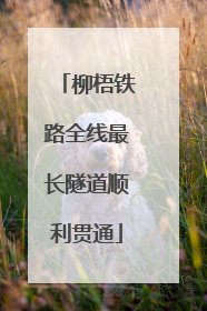 柳梧铁路全线最长隧道顺利贯通