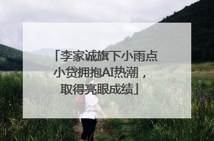 李家诚旗下小雨点小贷拥抱AI热潮，取得亮眼成绩