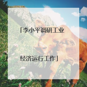 李小平调研工业经济运行工作